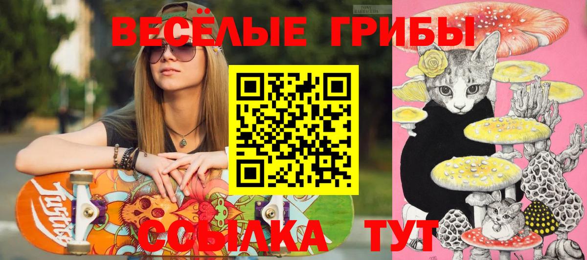 Псилоцибиновые грибы Psilocybine cubensis  Галлюциногенные грибы GOLDEN TEACHER  Вход с VPN  Дербент 