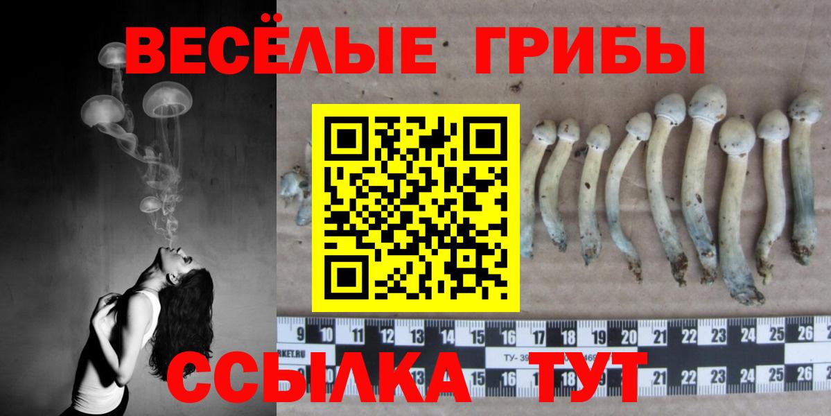 Галлюциногенные грибы мухоморы Дербент